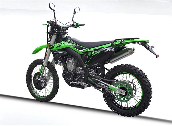 250cc Efi Engine Off Road Motorcycle Dirt Bike